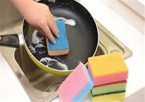 علماء يكتشفون فيروسات تقضي على بكتيريا إسفنجة "الصحون"