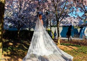 تشجيعا للسياحة.. "زوجة مؤقتة وشهر عسل" لكل سائح في هذه المدينة 