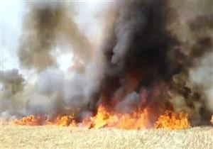 حرق محاصيل زراعية في شمال العراق وتساؤلات حول الجهة المسؤولة