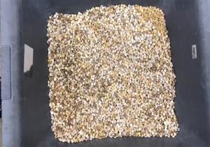 إحباط محاولة تهريب 18600 قرص مخدر بمطار القاهرة- (صور)