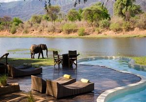 بالصور| مع الفيلة والتماسيح.. أجمل حمامات السباحة في العالم لعام 2019  