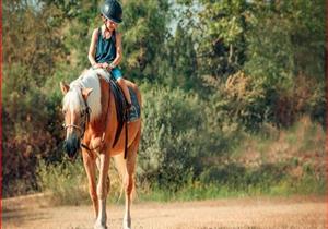 تبدأ من 80 جنبها.. أسعار 5 أماكن لممارسة ركوب الخيل 