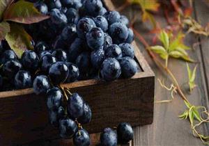 يعالج الصداع النصفي ويحميك من السرطان.. 9 فوائد مذهلة للعنب الأسود