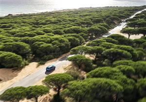 سكودا تعلن عن تعديل الطراز الأحدث من "Kodiaq".. وتؤكد: سيبهر محبيها