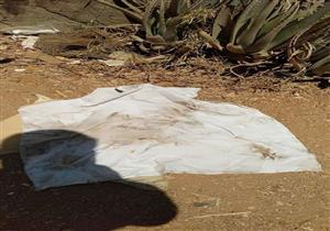 صور- جماجم وطلاسم ورأس قرموط.. قصص أعمال السحر في "مقابر القليوبية"