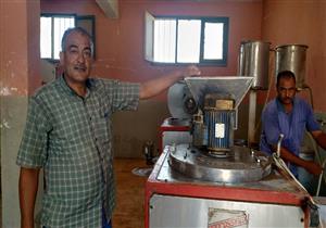 زراعة جنوب سيناء تستعد لموسم عصر الزيتون (صور)