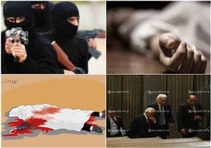 "كشف غموض مقتل ضابط وكواليس سرقة شقة شيرين سيف النصر".. نشرة الحوادث