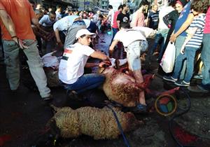 بقمصان تحيا مصر.. جزارون يستقبلون زبائنهم في الإسكندرية (صور) 