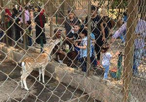 تعرف على تفاصيل الفيلم التسجيلي لحديقة الحيوان في شم النسيم- فيديو