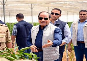 "أجرتهم كام وهيصرفوا منين !".. ماذا قال السيسي عن عدم ارتداء عمال أحد المشروعات للكمامات؟