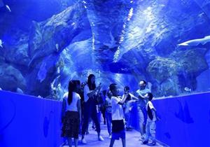 افتتاح أعلى حوض مائي في العالم أعلى هضبة بالصين