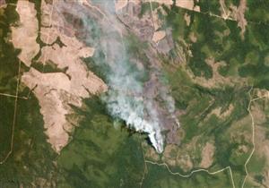 دراسات تحذر: تجارة المخدرات تدمر الغابات المطيرة بأمريكا الوسطى