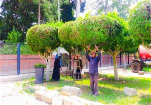 من المخابز إلى حي المنتزه والنهاية "استغناء".. عامل يومية يستغيث بعد 7 سنين عمل