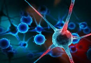 منها الانتقال وراثيًا.. أبرز 3 شائعات عن السرطان