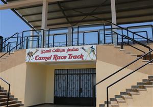 بالصور.. مضمار الهجن بشرم الشيخ يستعد لموسم السباقات 