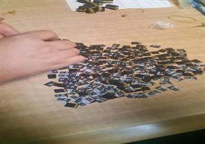 راكب يخفي 580 كارت ميموري في حذائه.. إحباط محاولتي تهريب بمطار برج العرب (صور)