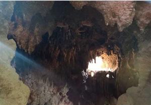 حديقة الأسماك بلا أسماك.. هنا وكر "الخفافيش" - صور