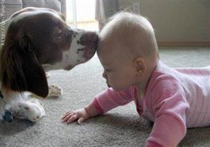 خبراء يحذرون من ترك الطفل بمفرده مع كلب