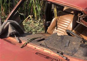 ٣ مصابين في انقلاب سيارة على طريق رأس البر