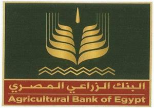 البنك الزراعي يشكل لجانا لمعالجة الديون المتعثرة والمشاركة بمبادرات المركزي