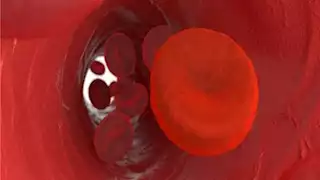      مشروب تناوله على الريق يحسن الدورة الدموية ويطرد السموم من الكبد