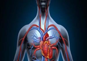 أغربها شرب الشاي.. 6 طرق طبيعية لتنشيط الدورة الدموية (صور)