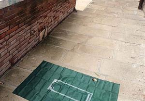 بالفيديو| أمين الفتوى يجيب: هل يأثم تارك صلاة السُّنة؟