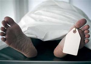 مصرع طبيب في حادث سير بالدقهلية