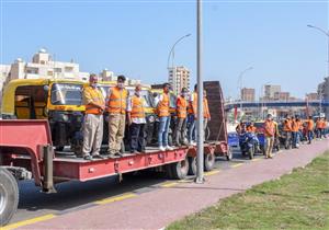 توكتوك وكارو وتروسيكل.. التحفظ على 238 مركبة بمحور المحمودية بالإسكندرية