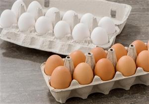 الزراعة: لدينا اكتفاء ذاتي من الألبان وبيض المائدة والكثير من الخضروات والفاكهة