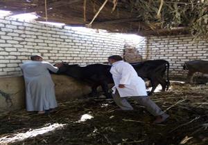 الزراعة: مسح 61 ألف منزل في 3400 قرية لرصد الأمراض الوبائية 