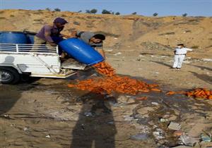 بالصور.. إعدام أغذية فاسدة وإغلاق 4 منشآت غير مرخصة بالشرقية