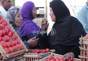 شعبة الخضراوات: فاصل العروات وراء ارتفاع أسعار الطماطم بالأسواق
