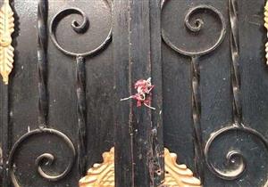 إغلاق 80 منشأة طبية خاصة في المنيا