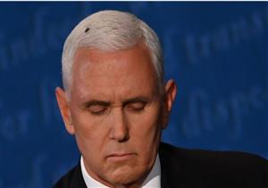 وقفت لدقيقتين و3 ثوان.."ذبابة بنس" تقتحم مناظرة نائب الرئيس الأمريكي