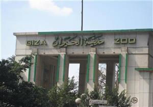 الزراعة: حديقة حيوان الجيزة استقبلت 140 ألف زائر في إجازة العيد