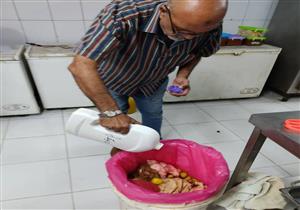 بالصور.. إغلاق منشآت غذائية وإعدام 328 كيلو أغذية في حملة صحية بدهب