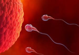 منها "تلف الحيوانات المنوية".. 10 أشياء تحدث لجسمك عند الجلوس طوال اليوم