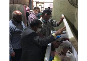 صور.. تحرير 117 مخالفة وإعدام لحوم ودواجن منتهية الصلاحية في المنوفية