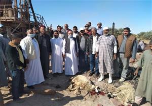 محافظ مطروح: ضخ المياه لري 350 فدانًا في منطقة "بني بير" -صور