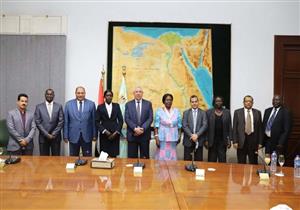 إنشاء مزارع وتبادل خبراء.. وزير الزراعة يبحث سبل التعاون مع نظيره الجنوب أفريقي