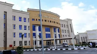  جريمة تهز الصف..جدة تقتل حفيدها ونجاة أخته بطريقة صادمة والسبب مفاجأة
