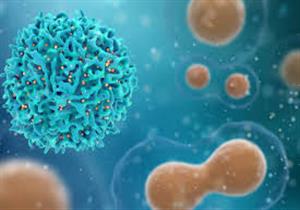 بدون أعراض.. سيدة عانت من كورونا أكثر من 3 أشهر وظلت تنقله للآخرين 70 يوما