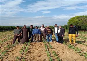 "المركزي للحشائش" ينفذ 25 مدرسة حقلية في 8 محافظات 