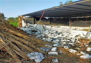 المنوفية| إزالة 5 حالات تعدٍ بالبناء على الأراضى الزراعية 