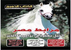 قصة الخيل العربي المصري الأصيل منذ عهد الفراعنة في عدد خاص من "الكتاب الذهبي" ​
