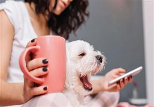 فيروس كورونا: النظرية التي تفسر مرور الوقت ببطء منذ انتشار الوباء 