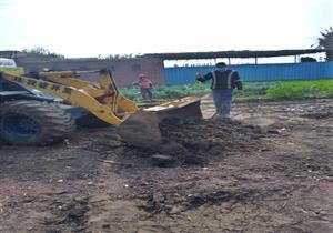 صور.. إزالة فورية لـ4 تعديات على الأراضي الزراعية خلال حملة في المنوفية