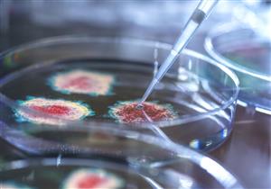 بالكمامة والمعقم.. هكذا تحمي نفسك من الإصابة بسلالة كورونا الجديدة