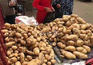 "العروة المحيرة".. انخفاض أسعار البطاطس يهدد المزارعين.. والوزارة: موسم ناجح